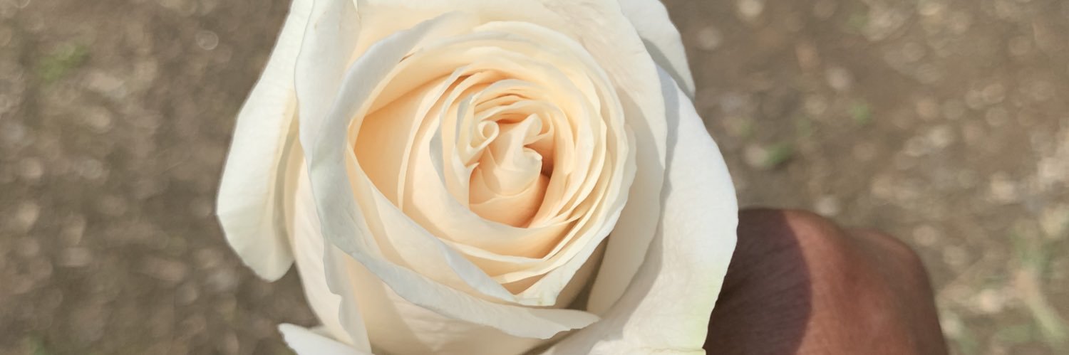__KCamm's profile banner image