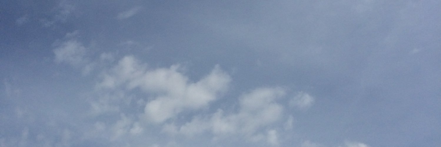 VuokkoY's profile banner image