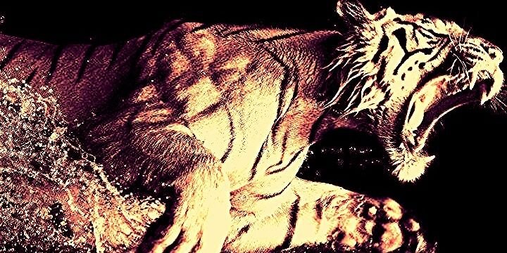 M3rquEn's profile banner image