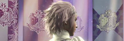 Ir0jir0's profile banner image