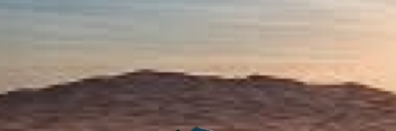 Niko banner