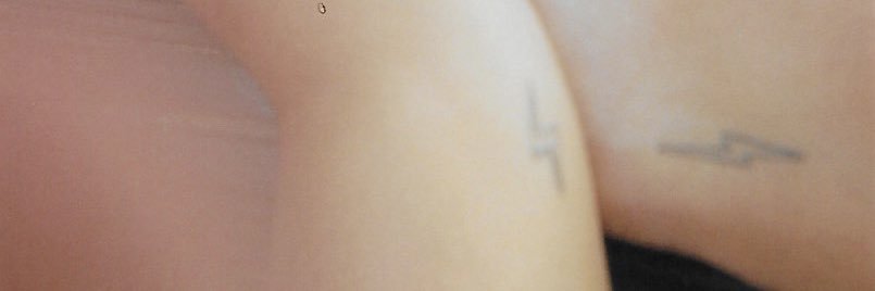 bruno banner