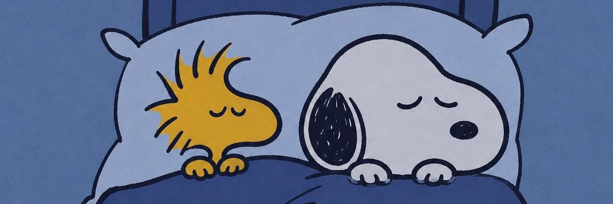 eneycar's profile banner image
