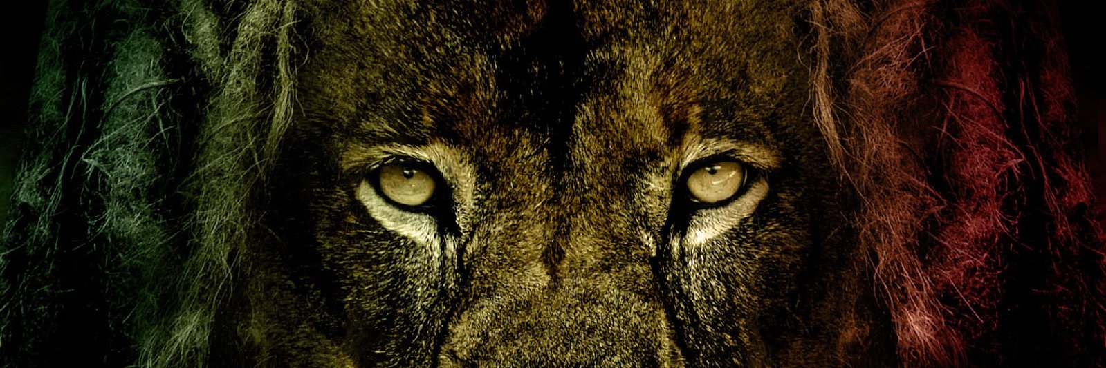 AlejoStar29's profile banner image