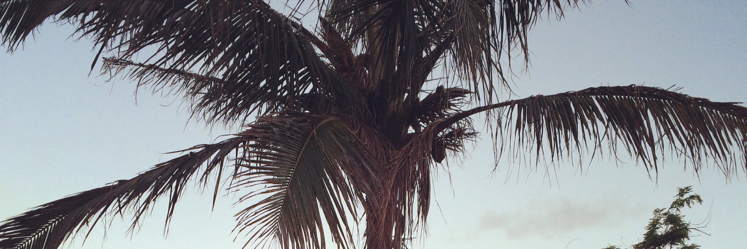 mikedavidsonbda's profile banner image