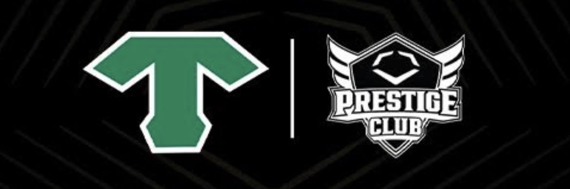 Memphis Tiger Baseball banner