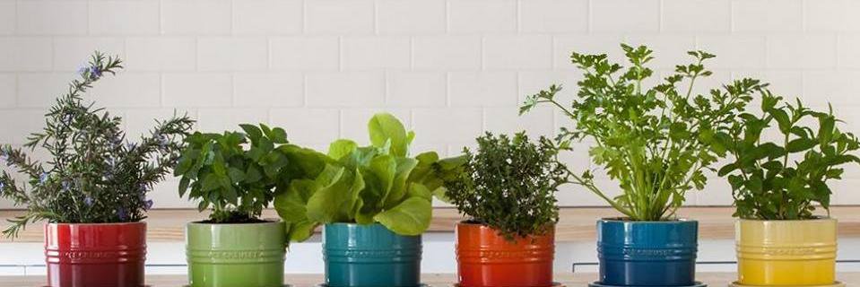 FoodHomeLife's profile banner image