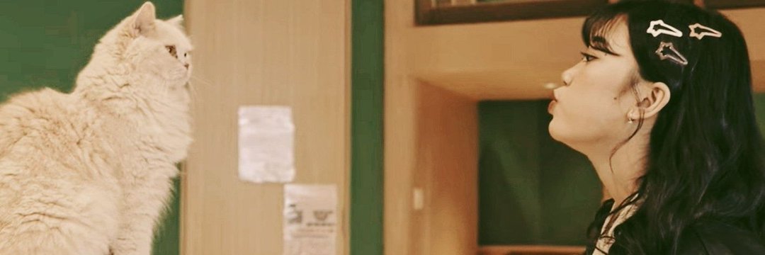 BakhDimSul's profile banner image