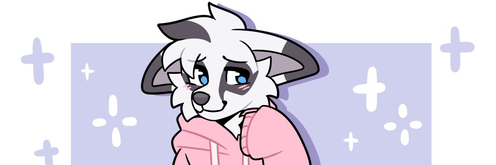 TheCamSoup's profile banner image