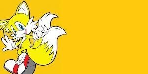 Tails The Fox  banner