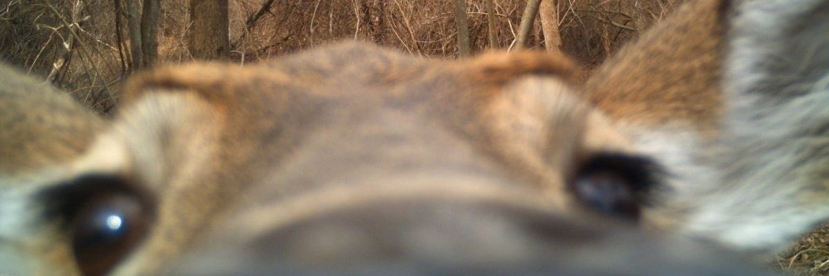 irekuss's profile banner image