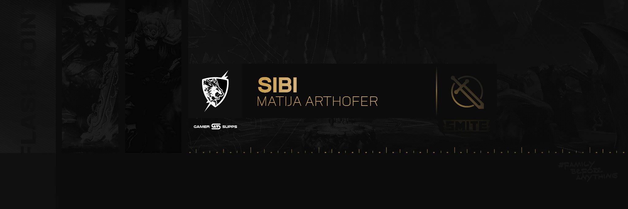 🇭🇷 Sibi banner