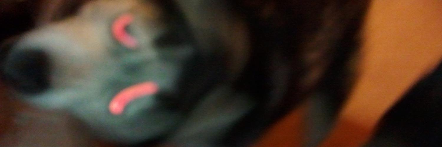 SadlerEnt's profile banner image