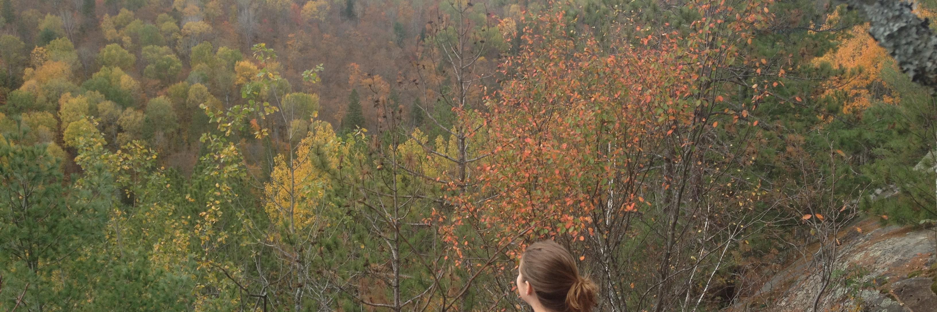 AnnieVanX's profile banner image