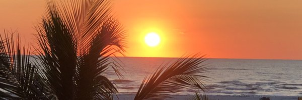 MelSfef Profile Banner