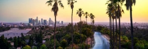 rapanue_e's profile banner image
