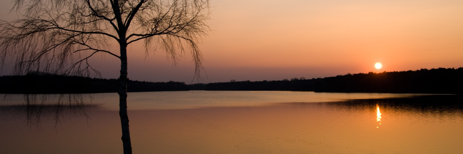 danielosolofaf's profile banner image