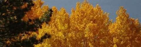 epwakefield3's profile banner image