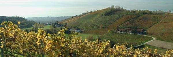 uswinezone's profile banner image