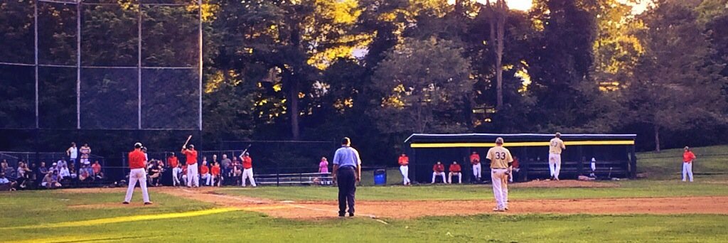 WCBL Baseball banner