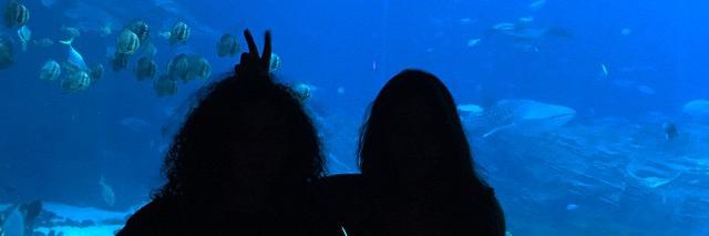 AnaCatanesi's profile banner image