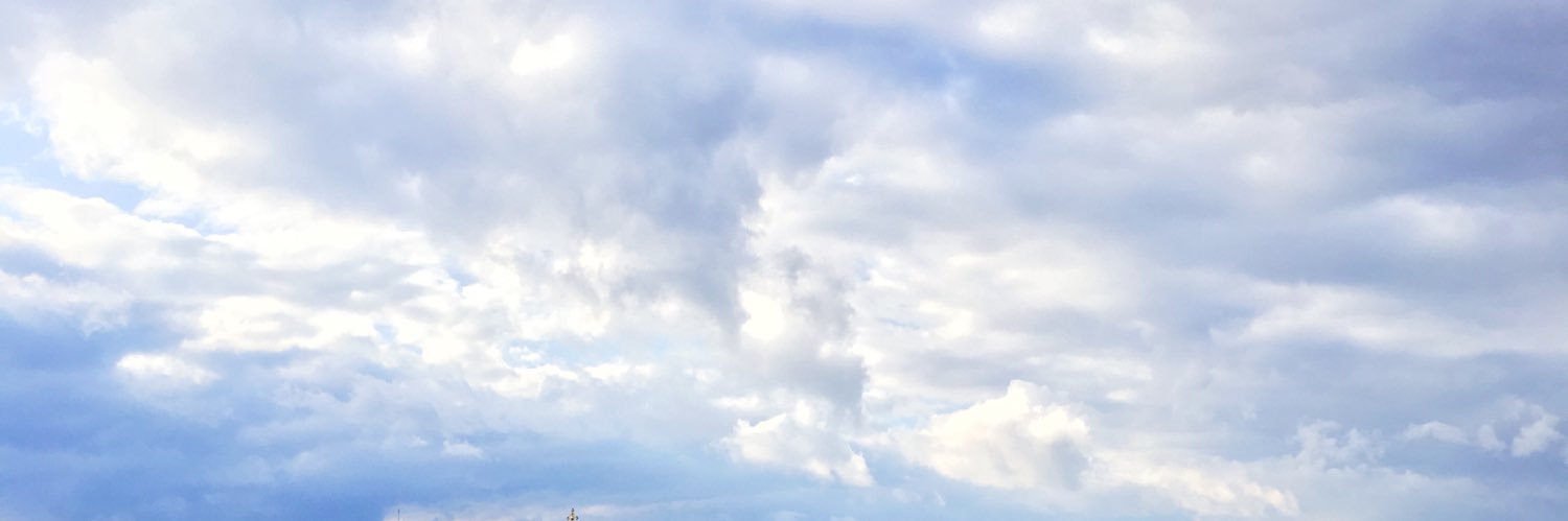 vladass1's profile banner image