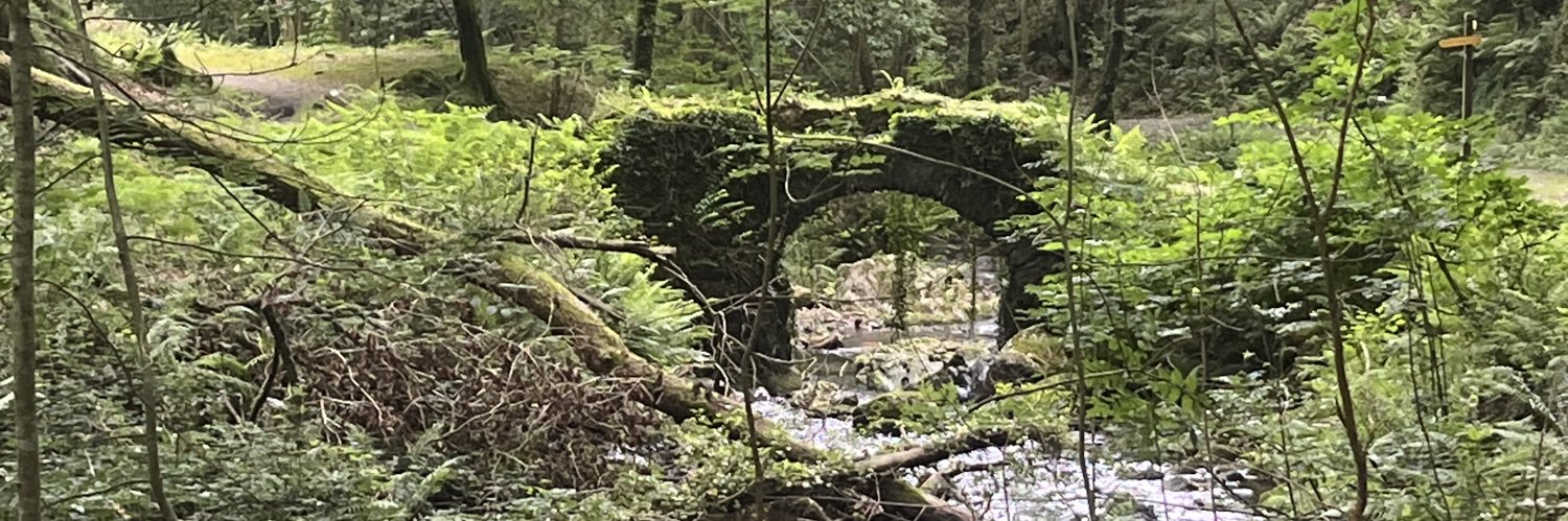 JUAN CARLOS FANO banner