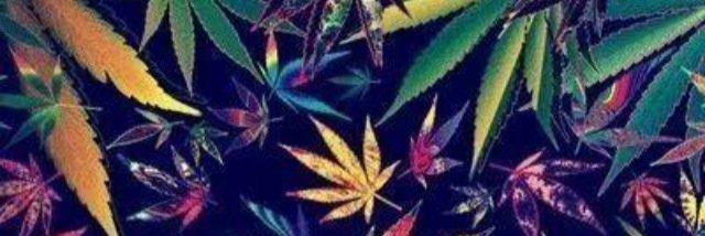 Meraa_xo's profile banner image