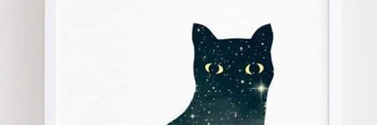 forevertonight6's profile banner image