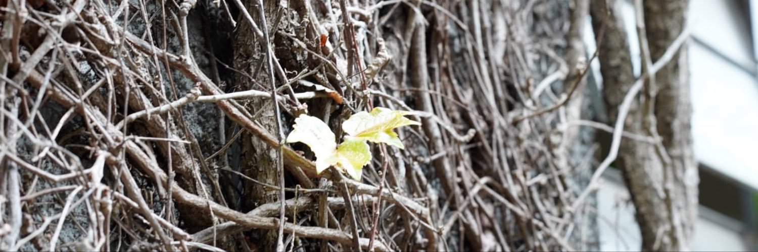natra_lha's profile banner image