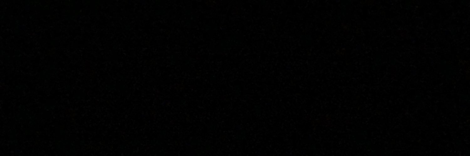 leyanev09's profile banner image