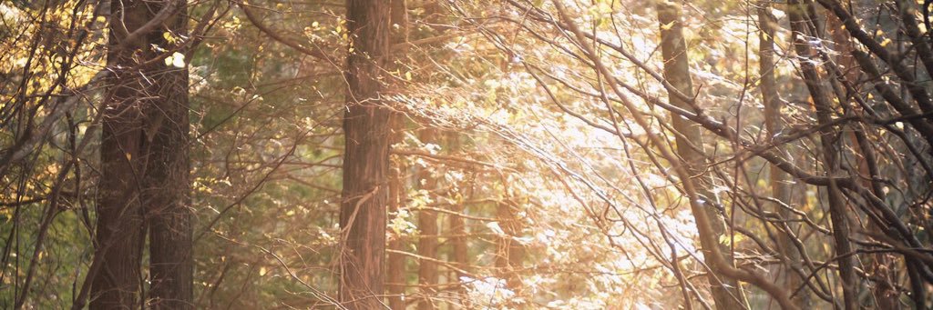 td74xs's profile banner image