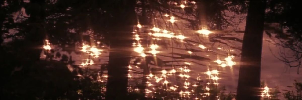 reyfection's profile banner image