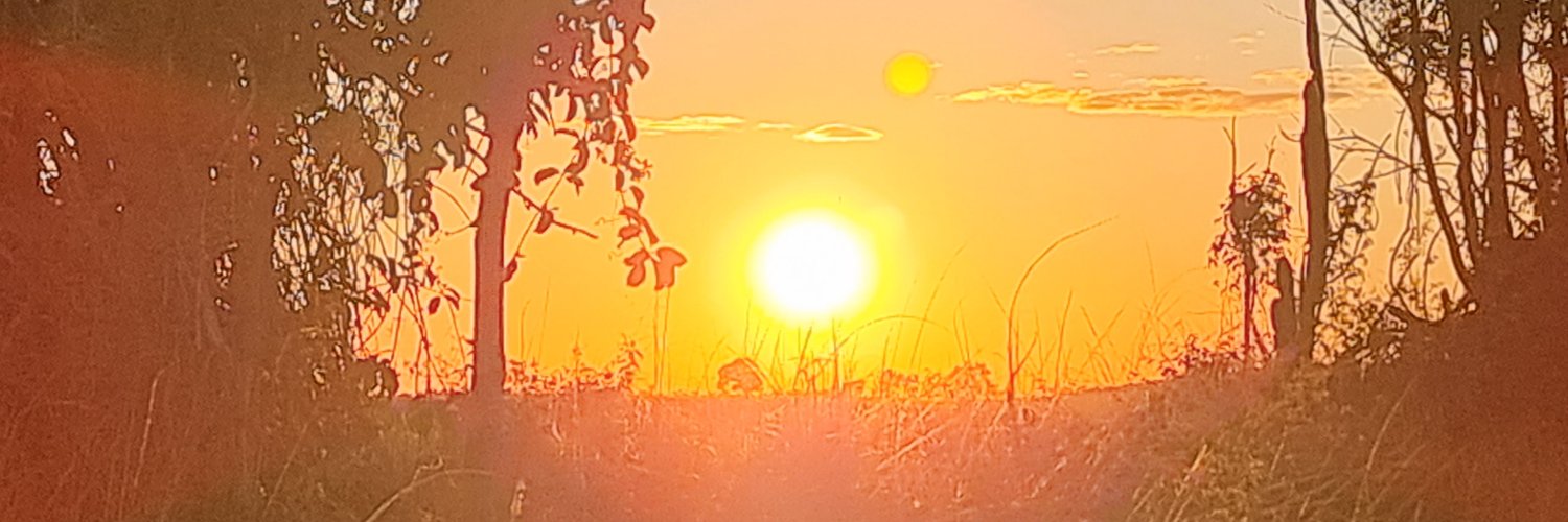 leftside_to's profile banner image