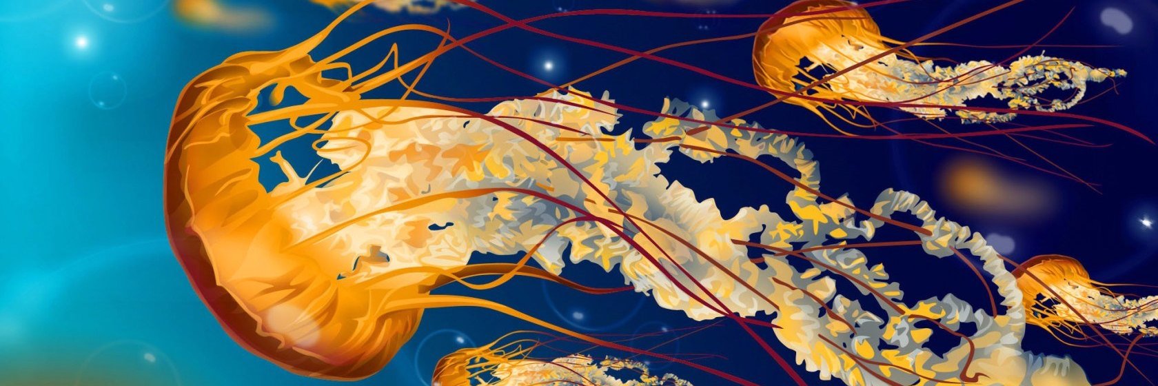ScullySins's profile banner image