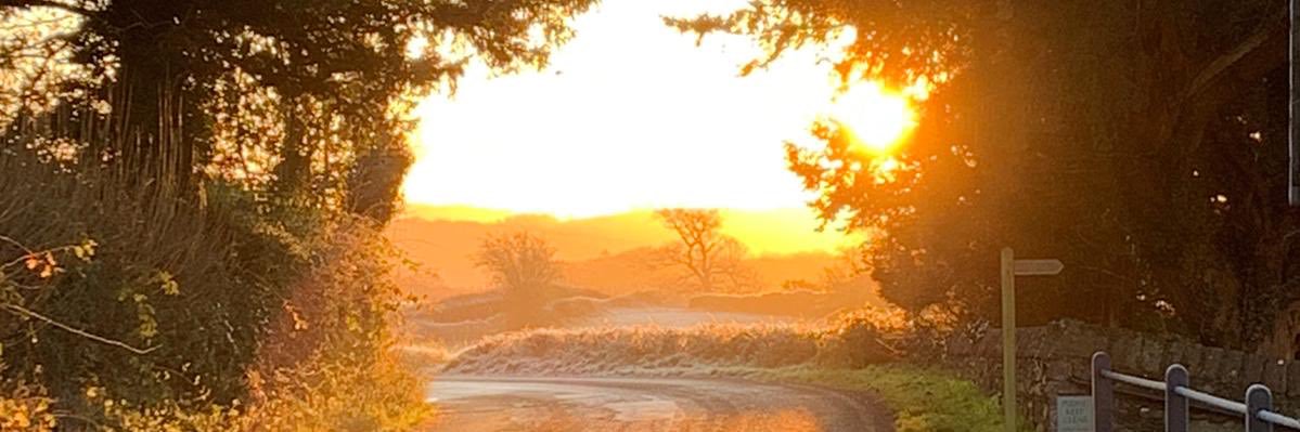 physiothatswims's profile banner image
