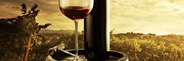 WinesContact's profile banner image