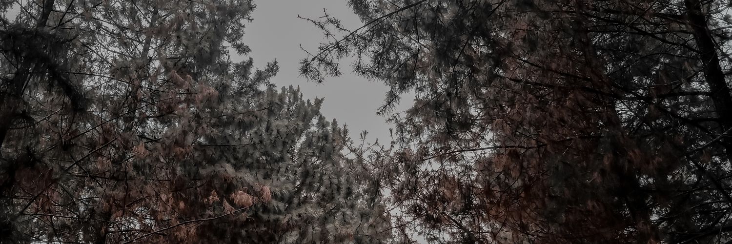 Monday. banner