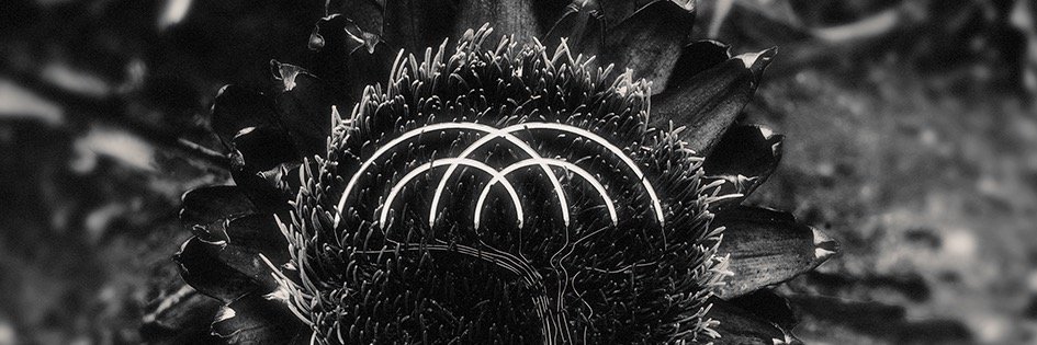 Electrodorn's profile banner image
