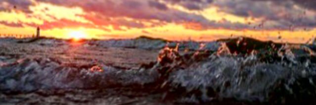 ShelliAdamczyk's profile banner image