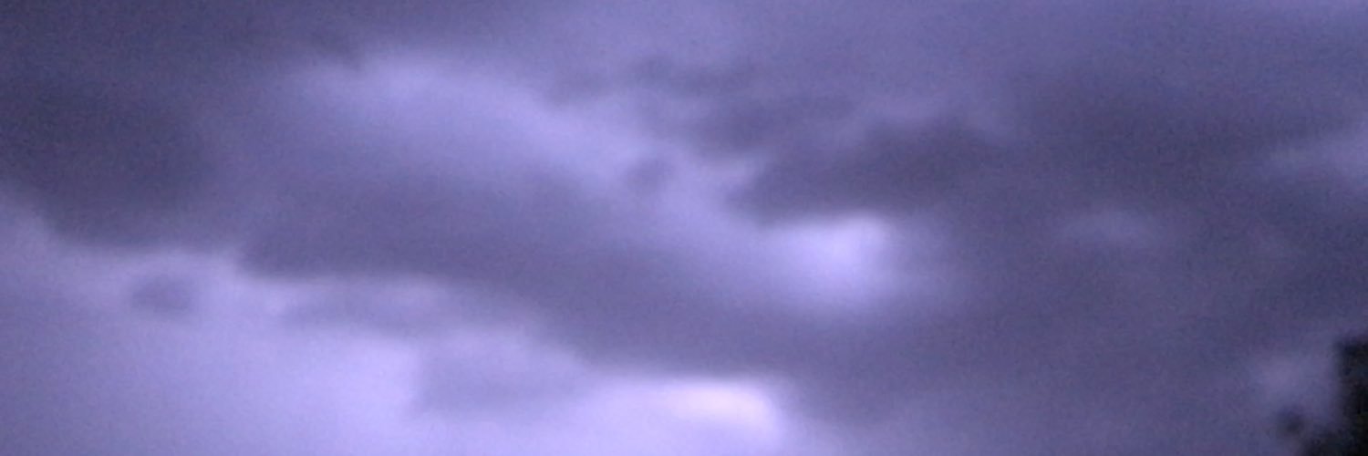 R_Ravenberg's profile banner image