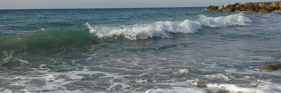 TellTee's profile banner image
