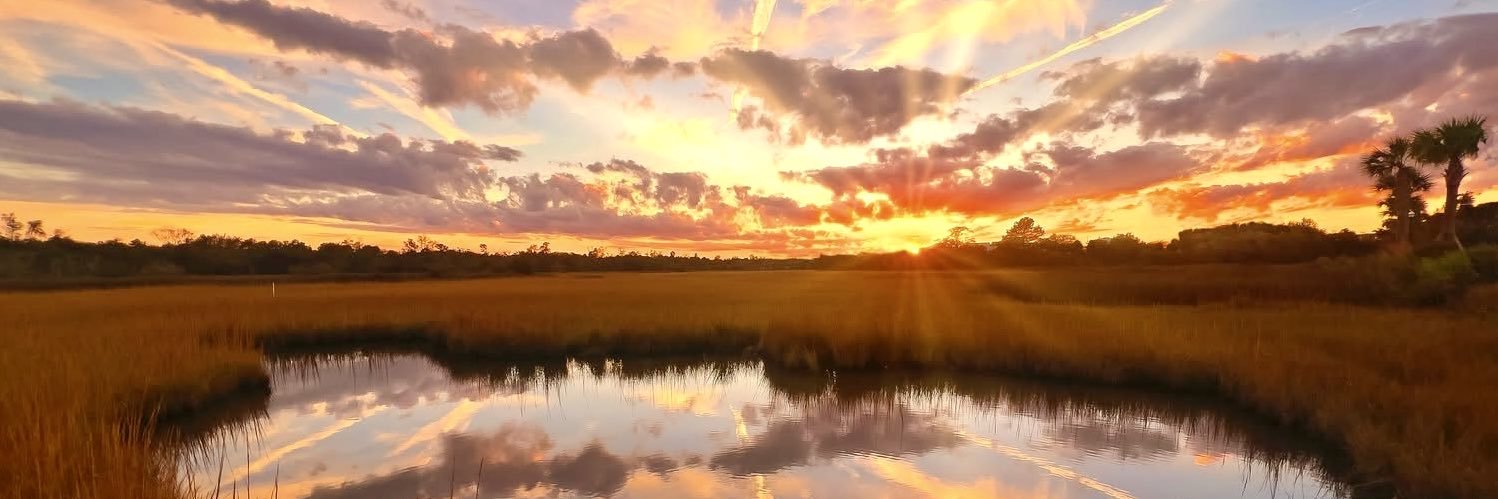 Mauricio J Maldonado banner