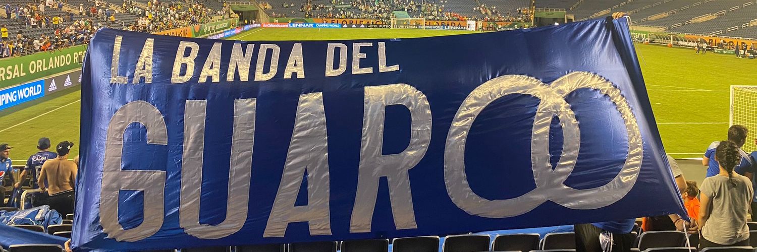 LaBandadelGuaro's profile banner image