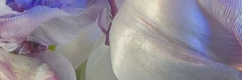 mmaimai_'s profile banner image