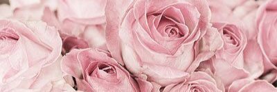 rwilliamsdesign's profile banner image