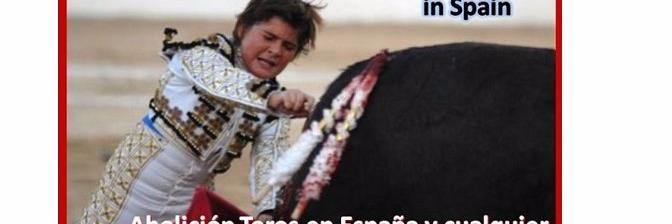 TOROSNUNCAMAS's profile banner image