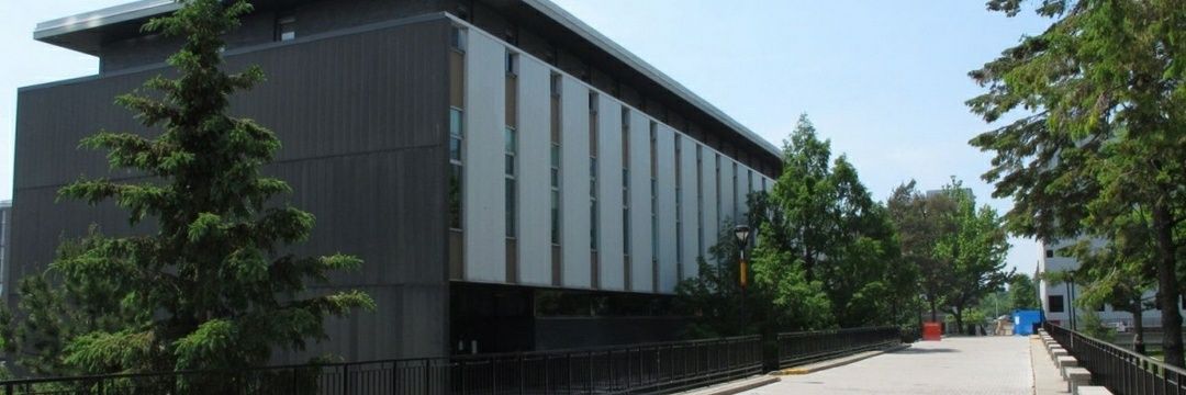 SALaDS Carleton banner