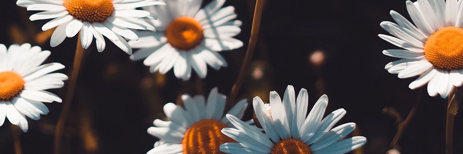 junciiel13's profile banner image