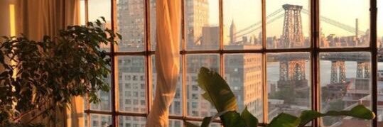 shaunaod6's profile banner image